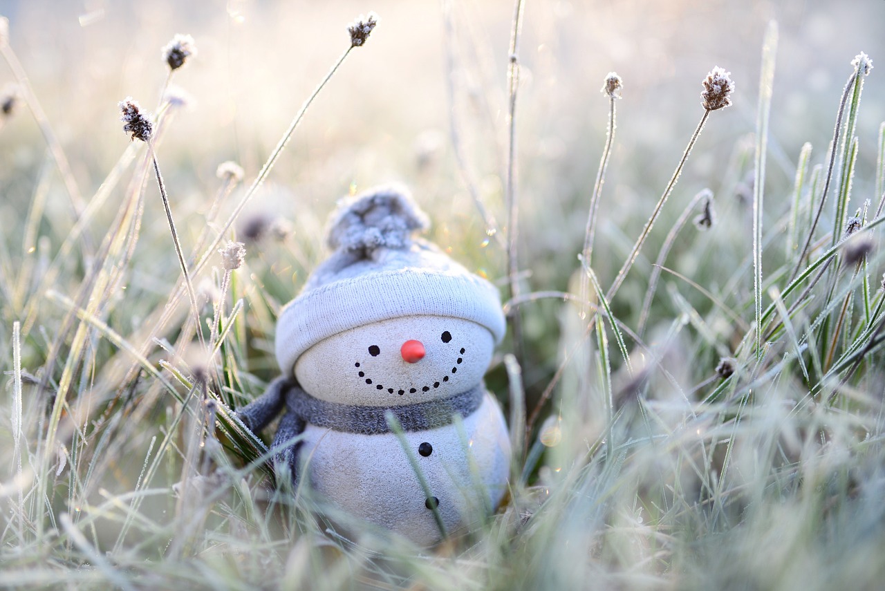 Foto Winter Mini-Schneemann im gefrorenen Gras